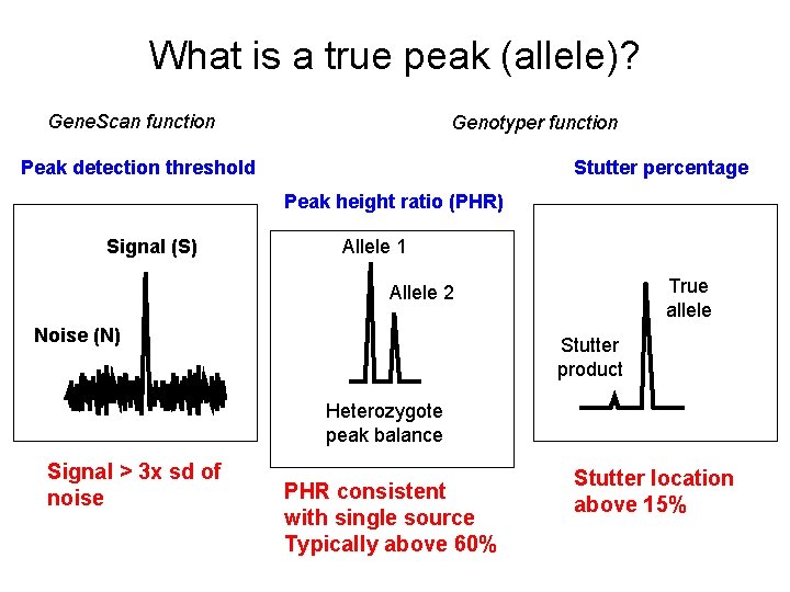 What is a true peak (allele)? Gene. Scan function Genotyper function Peak detection threshold