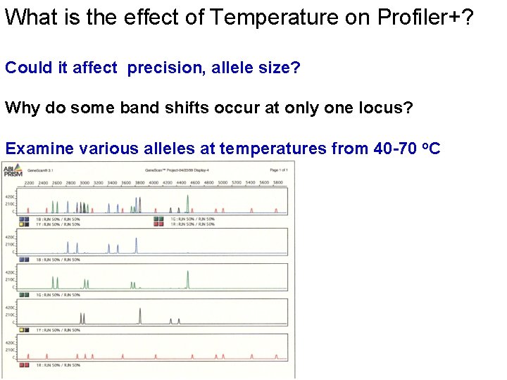 What is the effect of Temperature on Profiler+? Could it affect precision, allele size?