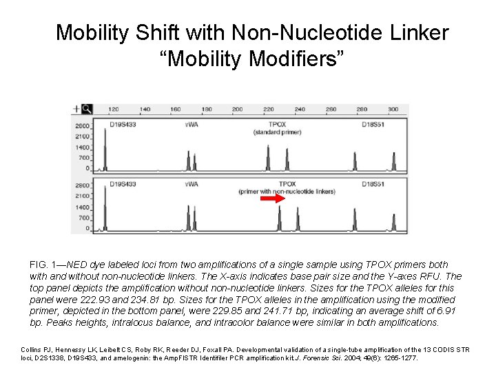 Mobility Shift with Non-Nucleotide Linker “Mobility Modifiers” FIG. 1—NED dye labeled loci from two