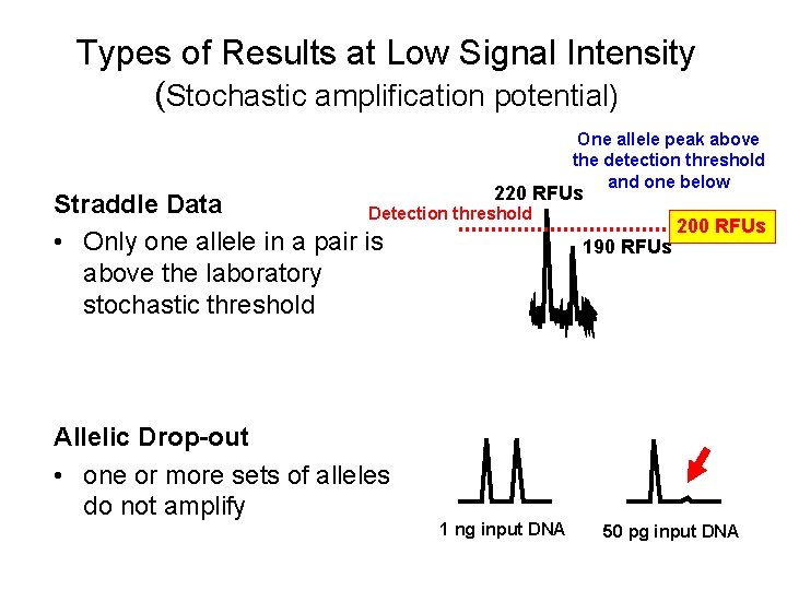 Types of Results at Low Signal Intensity (Stochastic amplification potential) One allele peak above
