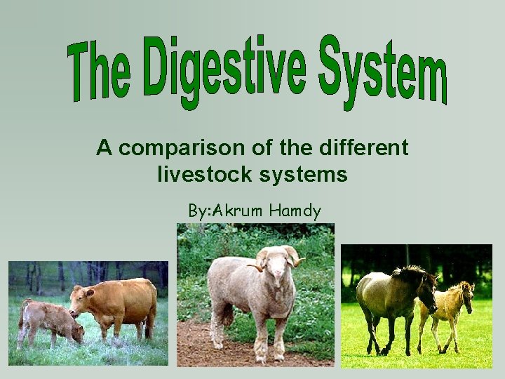 A comparison of the different livestock systems By: Akrum Hamdy 