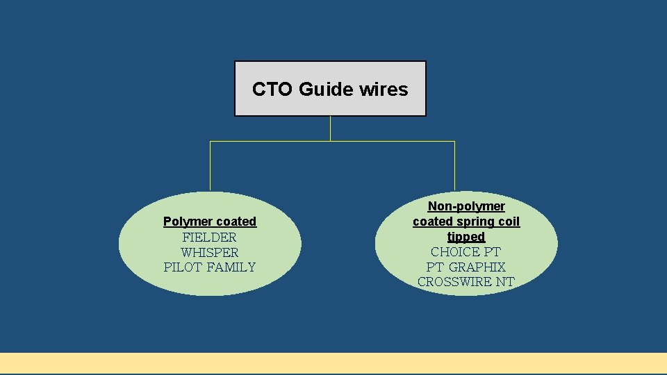 CTO Guide wires Polymer coated FIELDER WHISPER PILOT FAMILY Non-polymer coated spring coil tipped