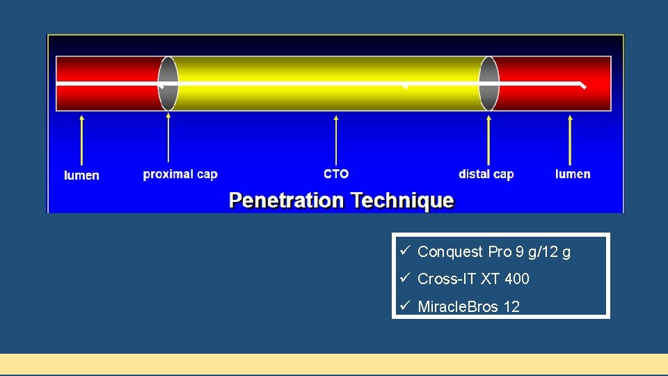 ü Conquest Pro 9 g/12 g ü Cross-IT XT 400 ü Miracle. Bros 12