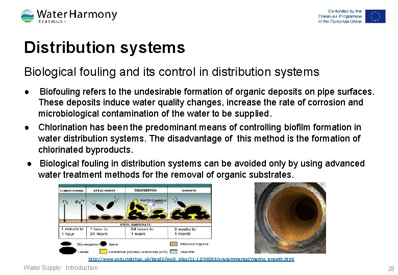 Distribution systems Biological fouling and its control in distribution systems ● Biofouling refers to