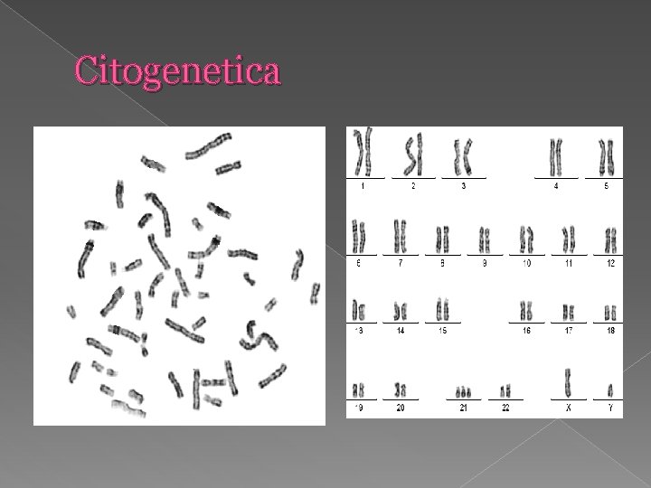 Citogenetica 