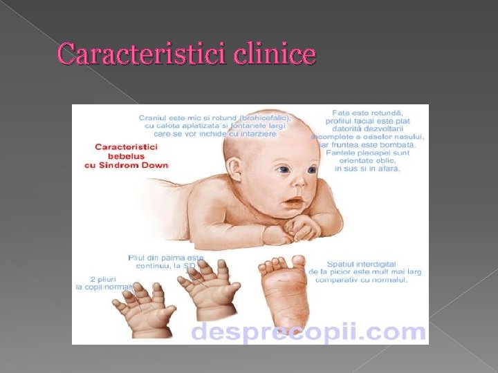 Caracteristici clinice 