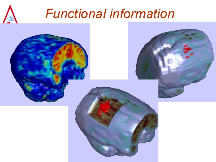Functional information 