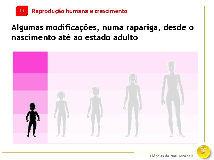 3. 1 Reprodução humana e crescimento Algumas modificações, numa rapariga, desde o nascimento até