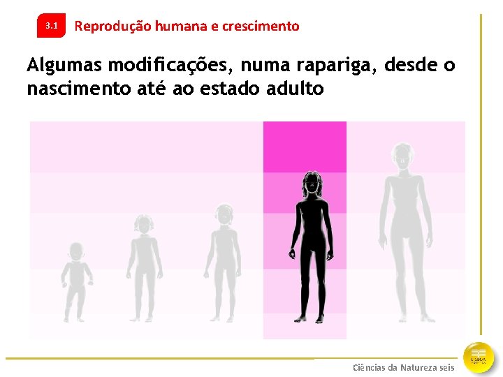 3. 1 Reprodução humana e crescimento Algumas modificações, numa rapariga, desde o nascimento até