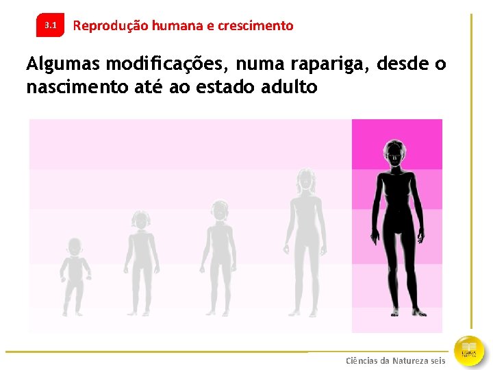 3. 1 Reprodução humana e crescimento Algumas modificações, numa rapariga, desde o nascimento até