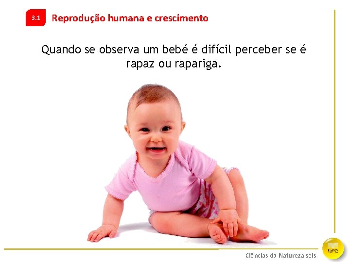 3. 1 Reprodução humana e crescimento Quando se observa um bebé é difícil perceber