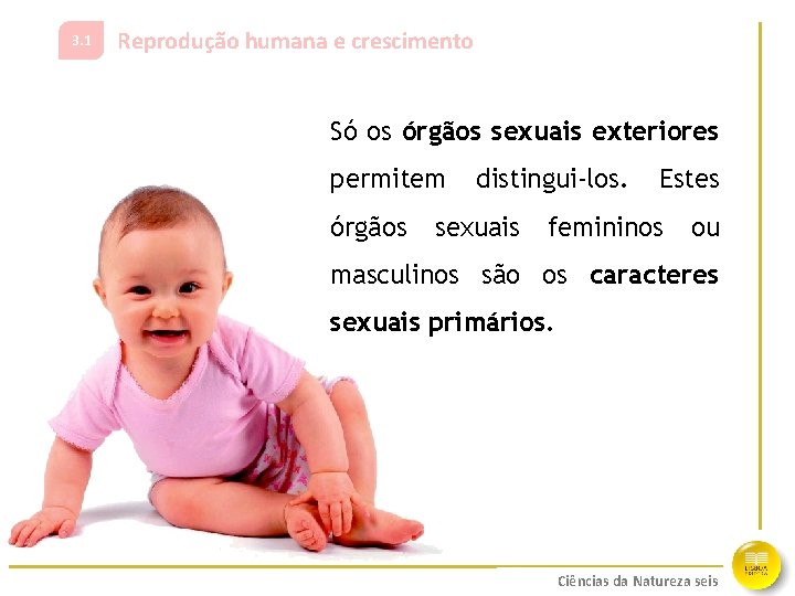 3. 1 Reprodução humana e crescimento Só os órgãos sexuais exteriores permitem órgãos distingui-los.