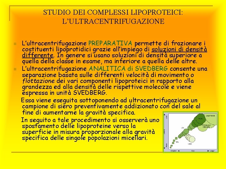 STUDIO DEI COMPLESSI LIPOPROTEICI: L’ULTRACENTRIFUGAZIONE n n L’ultracentrifugazione PREPARATIVA permette di frazionare i costituenti