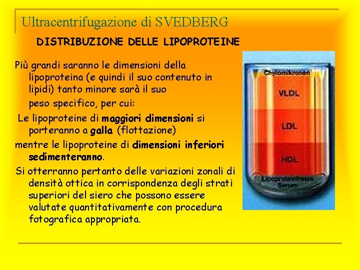 Ultracentrifugazione di SVEDBERG DISTRIBUZIONE DELLE LIPOPROTEINE Più grandi saranno le dimensioni della lipoproteina (e