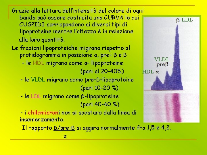 Grazie alla lettura dell’intensità del colore di ogni banda può essere costruita una CURVA