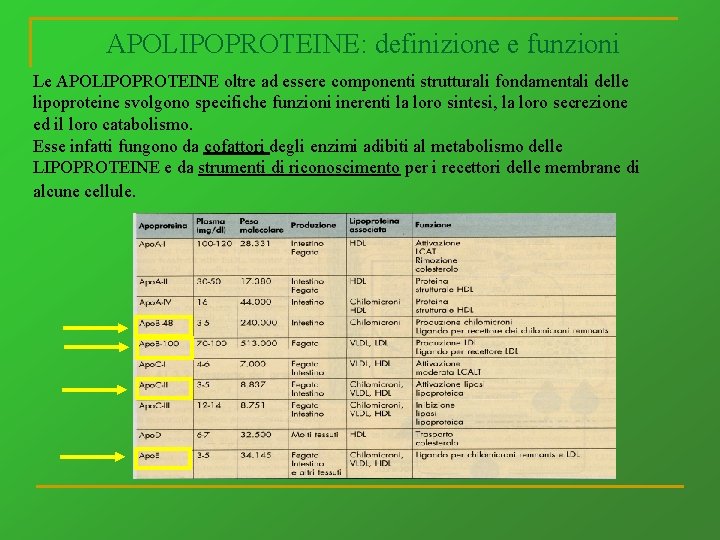 APOLIPOPROTEINE: definizione e funzioni Le APOLIPOPROTEINE oltre ad essere componenti strutturali fondamentali delle lipoproteine
