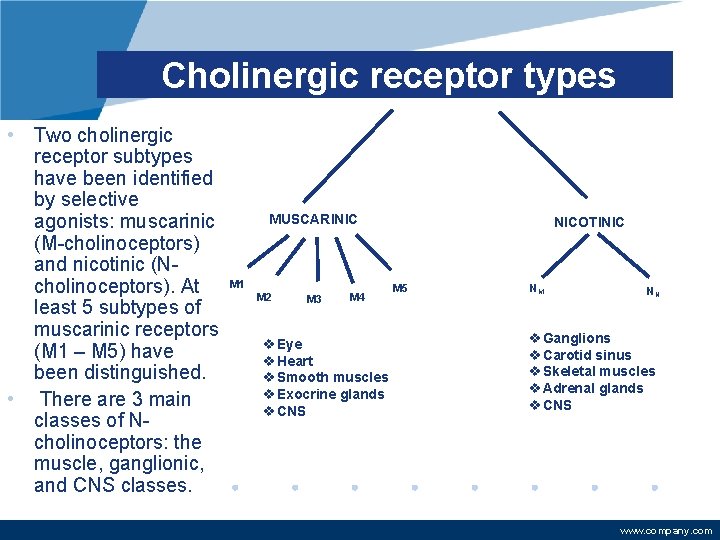 Cholinergic receptor types • Two cholinergic receptor subtypes have been identified by selective agonists: