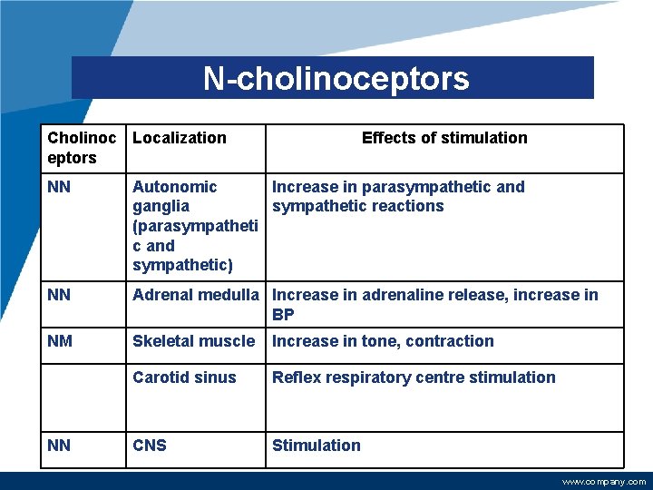 N-cholinoceptors Cholinoc Localization eptors Effects of stimulation NN Autonomic Increase in parasympathetic and ganglia