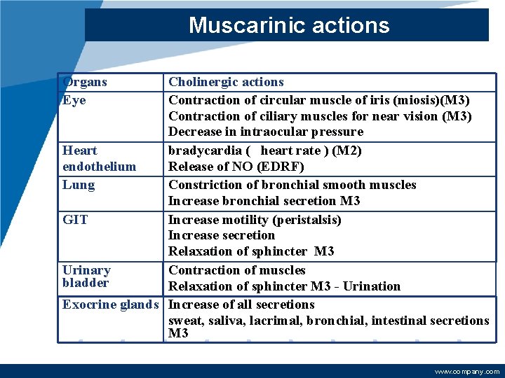 Muscarinic actions Organs Eye Cholinergic actions Contraction of circular muscle of iris (miosis)(M 3)