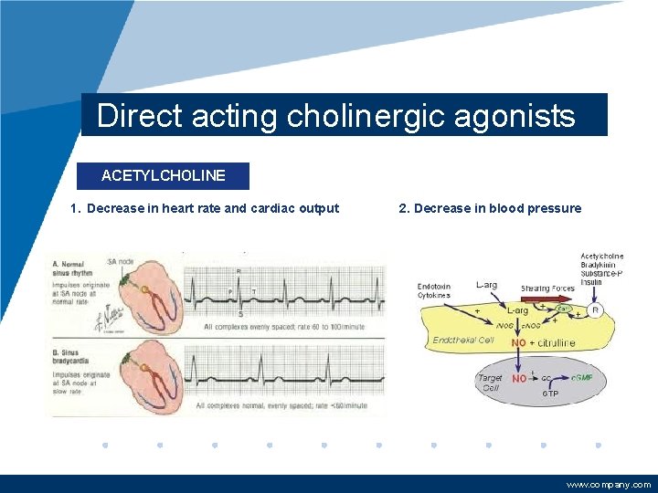 Direct acting cholinergic agonists ACETYLCHOLINE 1. Decrease in heart rate and cardiac output 2.
