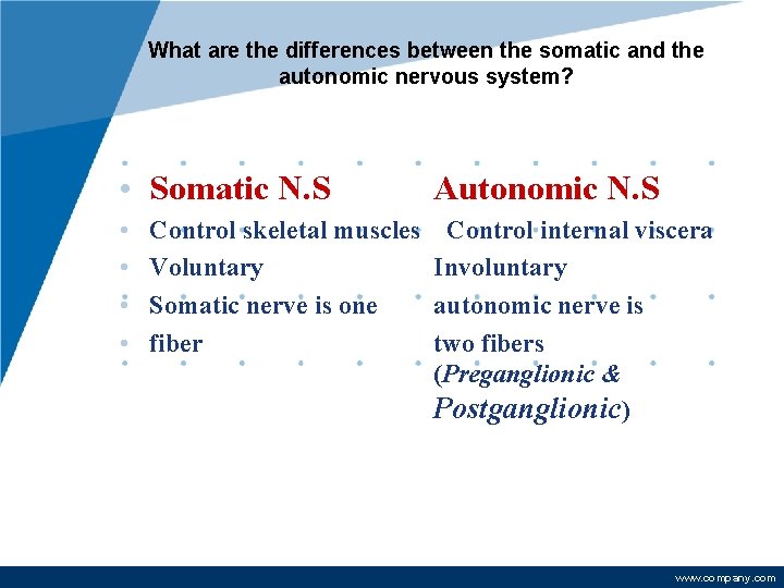 What are the differences between the somatic and the autonomic nervous system? • Somatic