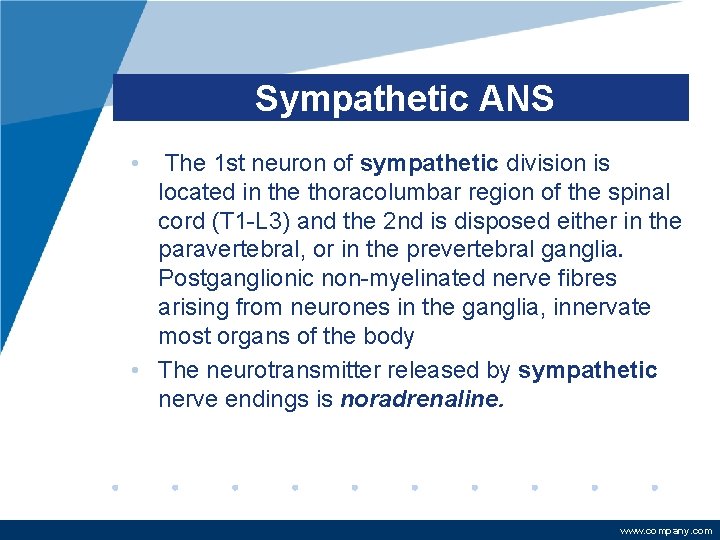 Sympathetic ANS • The 1 st neuron of sympathetic division is located in the