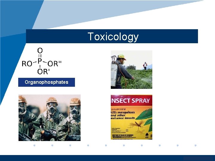 Toxicology Organophosphates www. company. com 