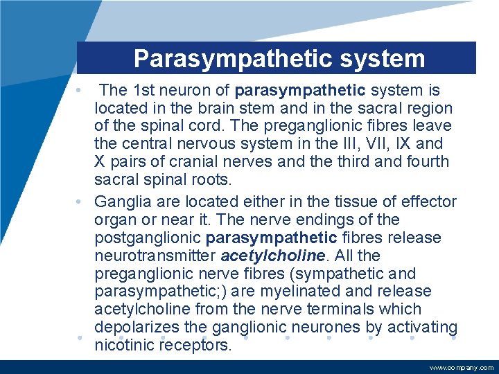 Parasympathetic system • The 1 st neuron of parasympathetic system is located in the