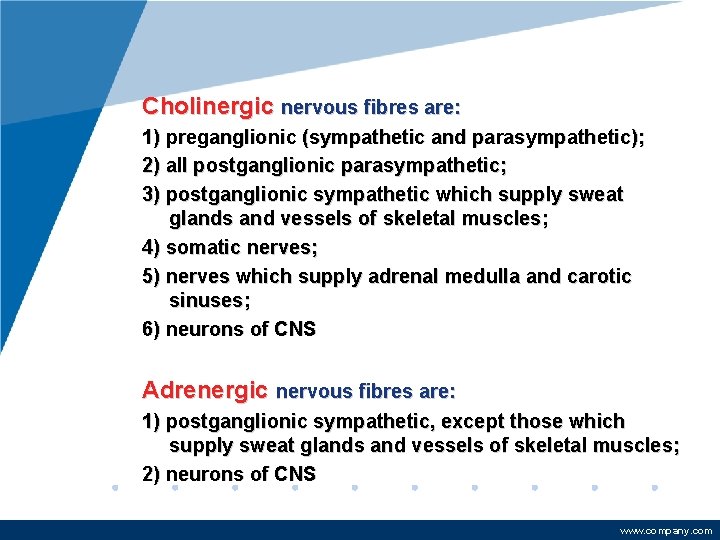 Cholinergic nervous fibres are: 1) preganglionic (sympathetic and parasympathetic); 2) all postganglionic parasympathetic; 3)