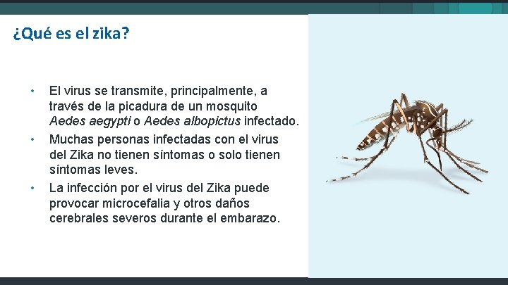 ¿Qué es el zika? • • • El virus se transmite, principalmente, a través