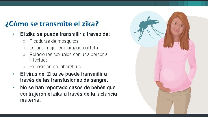 ¿Cómo se transmite el zika? • El zika se puede transmitir a través de: