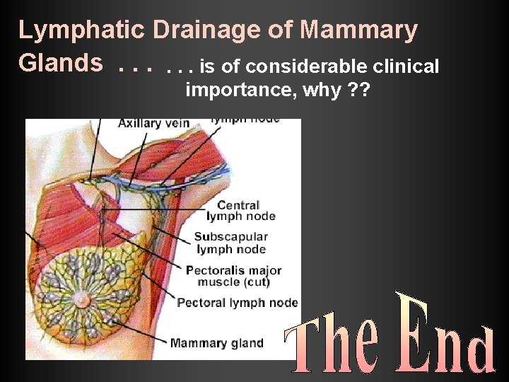 Lymphatic Drainage of Mammary Glands. . . is of considerable clinical importance, why ? Lymphatic Drainage of Mammary Glands. . . is of considerable clinical importance, why ?