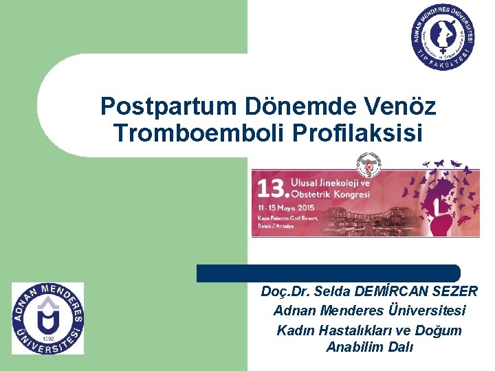 Postpartum Dönemde Venöz Tromboemboli Profilaksisi Doç. Dr. Selda DEMİRCAN SEZER Adnan Menderes Üniversitesi Kadın
