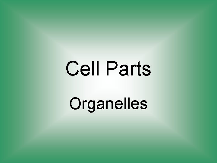 Cell Parts Organelles 