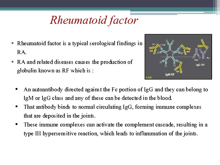 Rheumatoid factor • Rheumatoid factor is a typical serological findings in RA. • RA