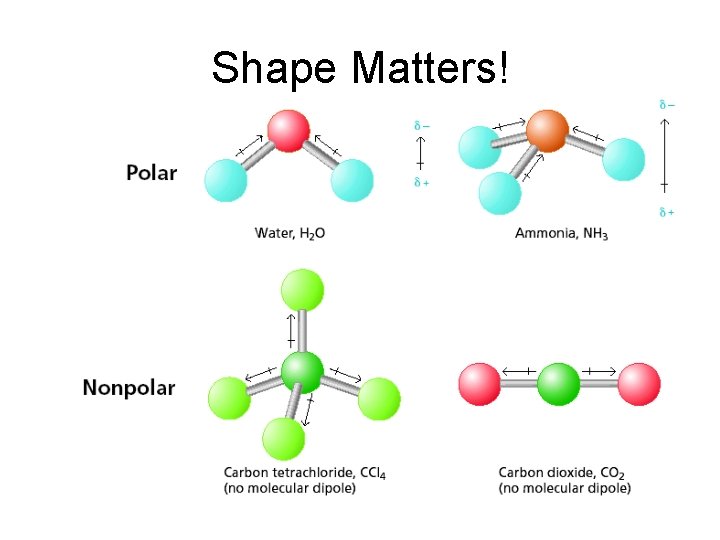 Shape Matters! Shape Matters!