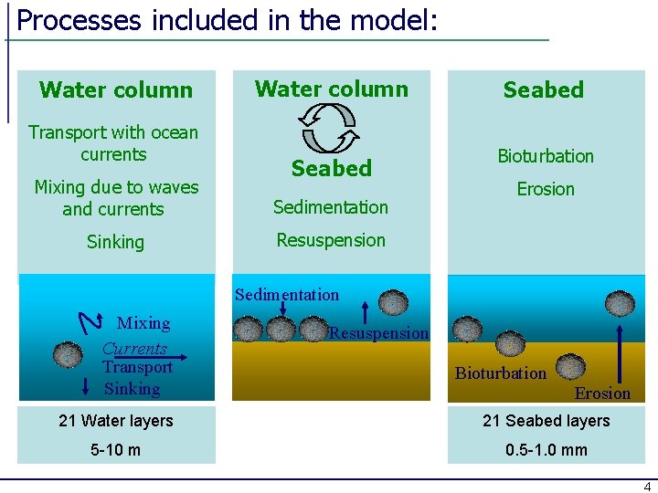 Processes included in the model: Water column Transport with ocean currents Water column Seabed