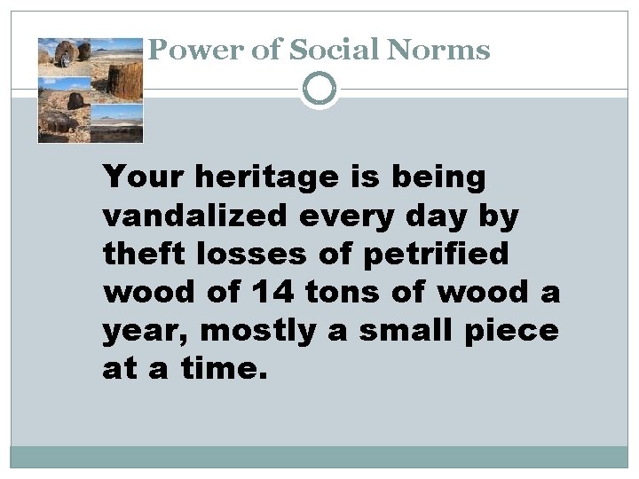 Power of Social Norms Your heritage is being vandalized every day by theft losses