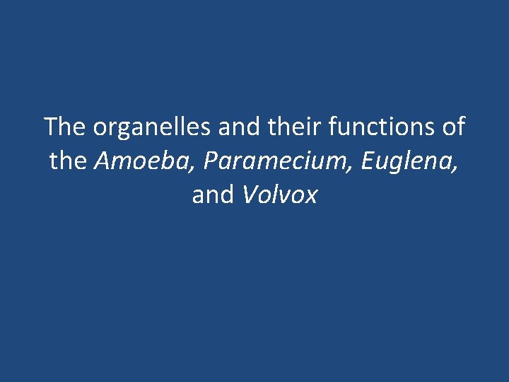 The organelles and their functions of the Amoeba, Paramecium, Euglena, and Volvox 