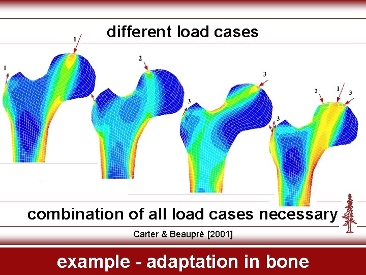 different load cases combination of all load cases necessary Carter & Beaupré [2001] example