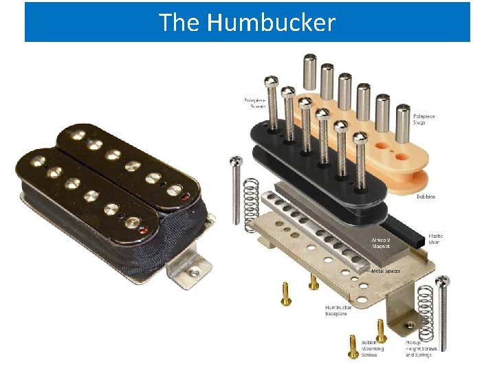 The Humbucker 
