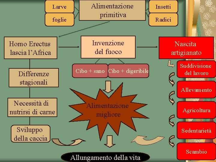 Larve foglie Homo Erectus lascia l’Africa Differenze stagionali Alimentazione primitiva Invenzione del fuoco Cibo