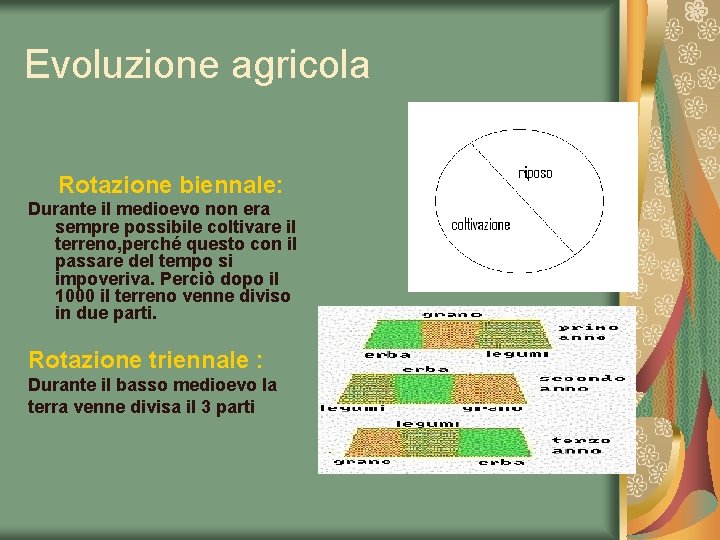 Evoluzione agricola Rotazione biennale: Durante il medioevo non era sempre possibile coltivare il terreno,