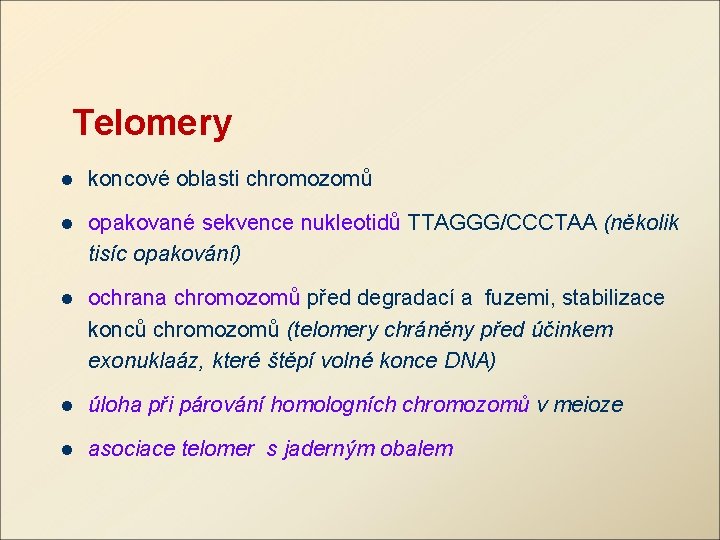 Telomery l koncové oblasti chromozomů l opakované sekvence nukleotidů TTAGGG/CCCTAA (několik tisíc opakování) l