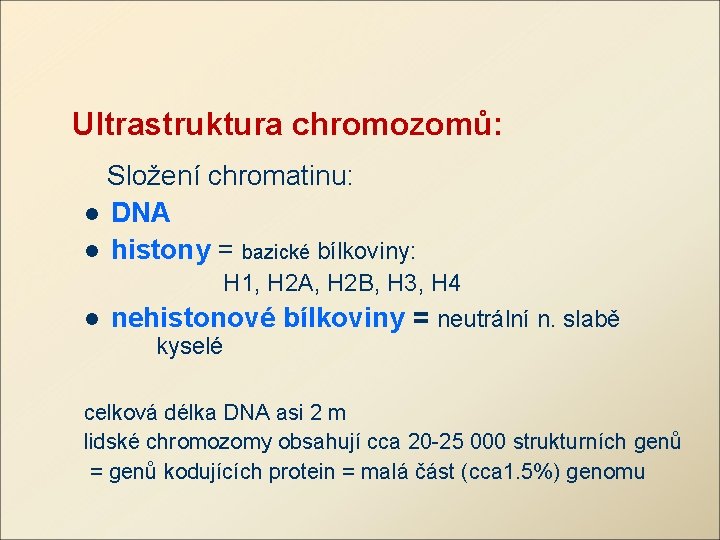 Ultrastruktura chromozomů: Složení chromatinu: l DNA l histony = bazické bílkoviny: H 1, H