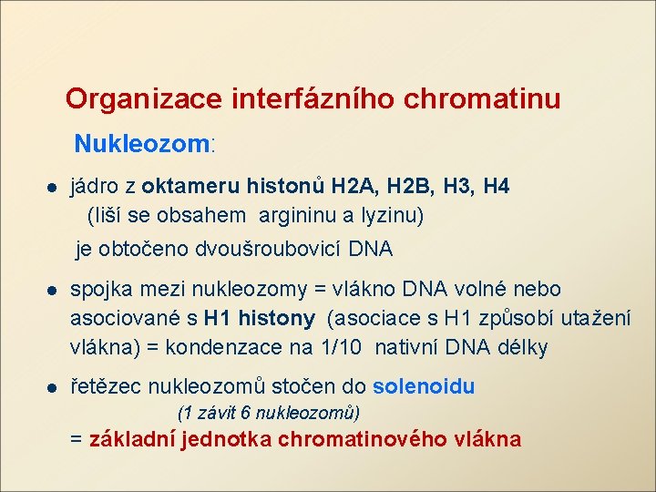 Organizace interfázního chromatinu Nukleozom: jádro z oktameru histonů H 2 A, H 2 B,