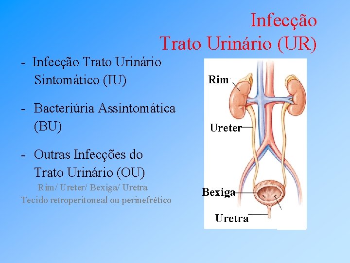 Infecção Trato Urinário (UR) - Infecção Trato Urinário Sintomático (IU) Rim - Bacteriúria Assintomática