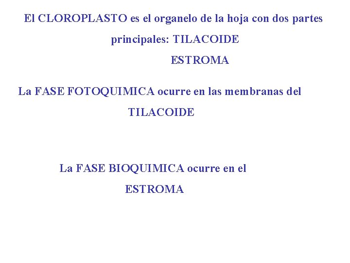 El CLOROPLASTO es el organelo de la hoja con dos partes principales: TILACOIDE ESTROMA