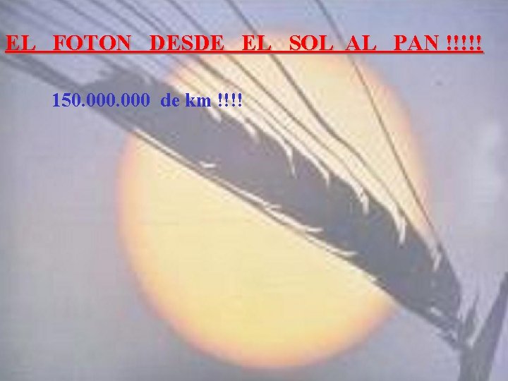 EL FOTON DESDE EL SOL AL PAN !!!!! 150. 000 de km !!!! 