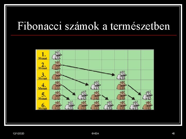 Fibonacci számok a természetben 12/1/2020 ©KEA 40 